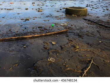 Trash On Hudson River Beach In Albany NY