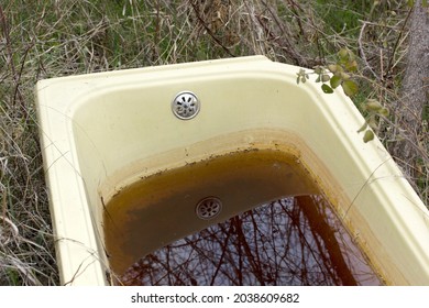 Trashed Bath Tub In The Countryside