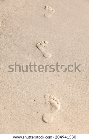 Similar – Spuren am Strand Natur