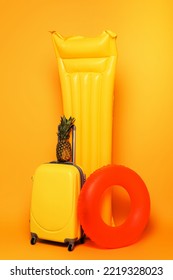 Travel Bag Pineapple Pool Floats