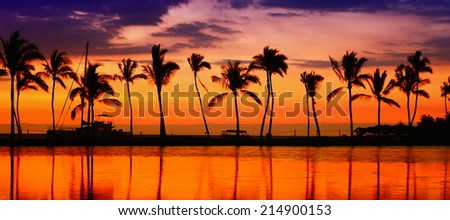 Travel banner. Beach paradise sunset with tropical palm trees. Summer travel holidays vacation getaway colorful concept photo from sea ocean water at Big Island, Hawaii, USA.