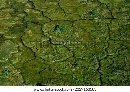 Travel in Botswana. Africa aerial landscape, green river, Okavango delta in Botswana. Lakes and rivers, view from airplane. Forest vegetation in South Africa. Trees with water in rainy wet season. 