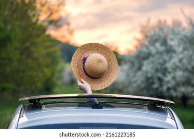 Travel By Car On Vacation. Woman Waving With Straw Hat From Car Sun Roof Window During Sunset. Road Trip To Adventure