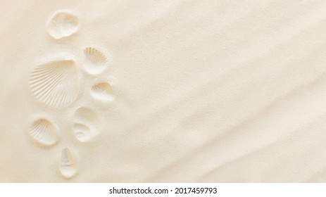 Travel flat lay, vacation concept. Sea shell print on sand and conch imprint.  - Shutterstock ID 2017459793