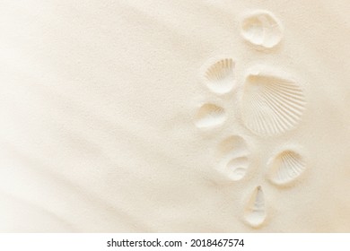 Travel flat lay, vacation concept. Sea shell print on sand and conch imprint. Travelling to warm countries, vacation trip. Copy space for different travel text. Banner with summer sand waves and sun