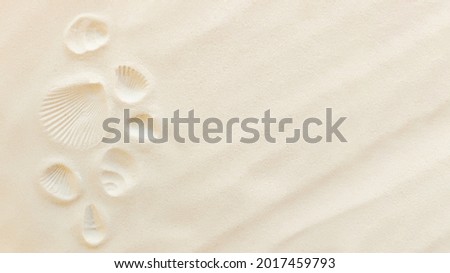 Travel flat lay, vacation concept. Sea shell print on sand and conch imprint. 