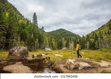 Travel hike forest nature hiker woman walking in canadian woods in fall autumn season, by beaver dam in Quebec National Park Parc de la Jacques Cartier, Canada destination. - Powered by Shutterstock