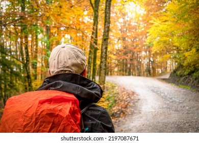 Travel and hiking along the forest path in autumn season: young woman walking in woods with a backpack - Concept of adventure. Parco Nazionale delle Foreste Casentinesi, Tuscany - Italy - Shutterstock ID 2197087671
