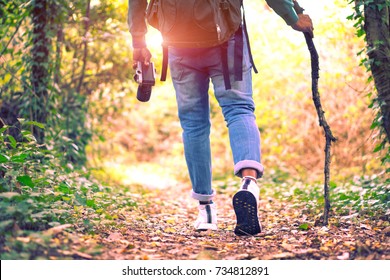 Travel and hiking along the forest path in autumn season - Young man walking in woods holding stick and camera - Concept of adventure, trekking and seasonal vacation with rear view of tourist on trail