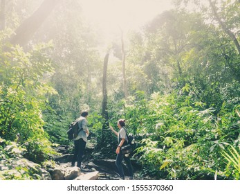 Travel Hiking And Ecotourism Concept From Asian Couple Traveler With Backpack Exploring The Beautiful Tropical Rainforest And Enjoying See Nature View With Sunlight Through Trees.