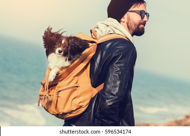 Travel Hipster Man With Dog  Fluffy  Breed Papillon In Backpack. Handsome Human With Beard And Hat Walking Near Coast, Sea Background .  Soft Toned Image. 