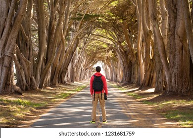 Travel man Hiker with backpack enjoying the Cypress Tree Tunnel, Point Reyes National Seashore, California, USA