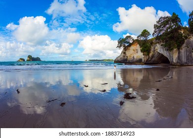 Travel to New Zealand. Ocean tidal wave in the Cathedral Cove. Mirror reflections of clouds in wet sand. The far end of the earth. The concept of exotic, ecological and photo tourism