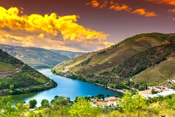 Viaggia Nella Regione Del Fiume Douro In Portogallo Tra Vigneti E Oliveti. Viticoltura Nei Villaggi Portoghesi All'alba