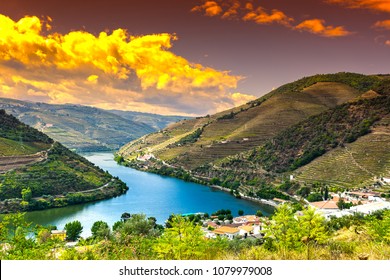 Reisen Sie in der Region Douro in Portugal zwischen Weinbergen und Olivenhainen. Weinbau in den portugiesischen Dörfern bei Sonnenaufgang
