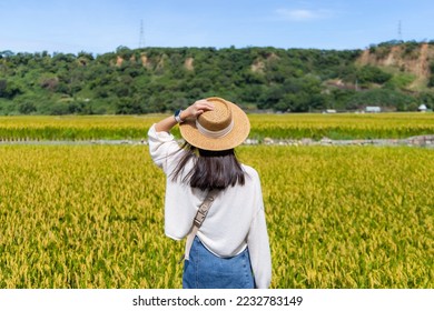 Travel woman go Taiwan Taichung Waipu paddy rice field - Shutterstock ID 2232783149