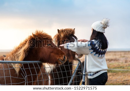 Traveler making friends with Icelandic horses on Iceland road trip