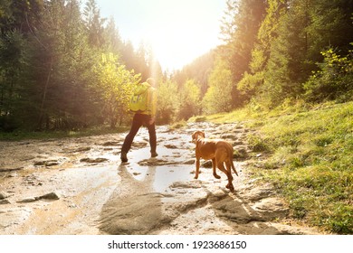 Traveler Man trekker with him dog walk around mountains in sunny day. Backpacker walking in Outdoors. Health care, authenticity, sense of balance and calmness.