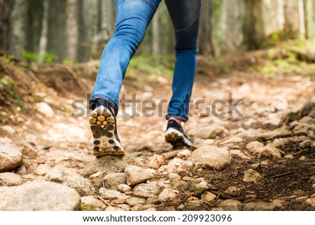 Traveler on footpath in the forest