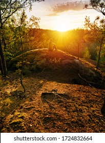 Traveler On Sandstone Cliffs In The Pine Forest Recreating During Hiking Tour Enjoying Journey. Vising Sun At Horizon. Sharp Flare In Lens. 