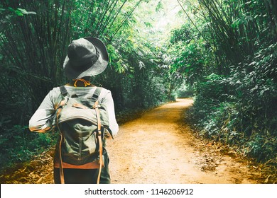 Traveler Woman With Backpack Walk Alone On Path Tree Tunnel In The Tropical Forest Krabi, Travel Nature Adventure Thailand, Tourism Beautiful Destination Asia, Tourist On Summer Holiday Vacation Trip
