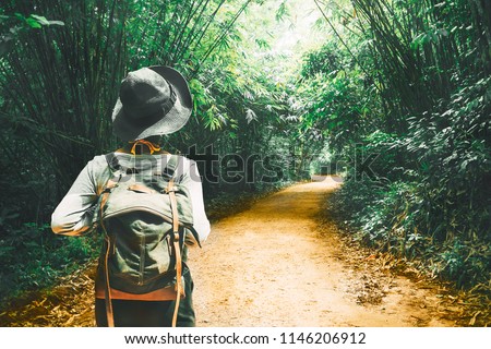 Traveler woman with backpack walk alone on path tree tunnel in the tropical forest Krabi, Travel nature adventure Thailand, Tourism beautiful destination Asia, Tourist on summer holiday vacation trip