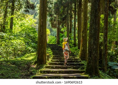 traveling Asian woman hiking in the forest at Xitou, Nantou, Taiwan