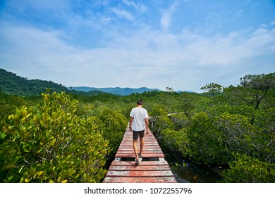 Traveling Boy On The Mangrove Forest. Young Man Walking On The Bridge. Summer Lifestyle And Adventure Photo. Fish Eye Lens Image