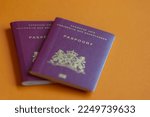 Traveling document and immigration concept, Selective focus of Dutch passport (Nederlands paspoort) are issued to citizens of the Kingdom of the Netherlands for the purpose of international travel. 