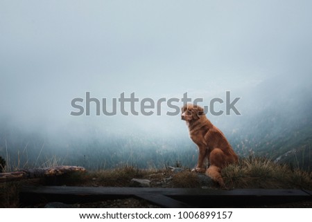 Similar – Foto Bild Unterwegs im Hochgebirge