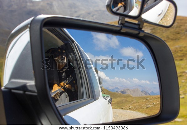 Traveling dog on a\
Offroad trip, french\
Alps