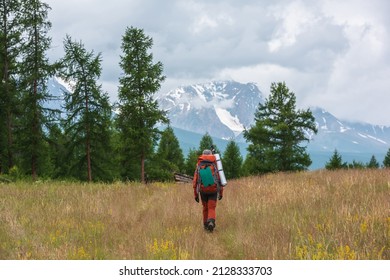 Traveling man in red with big backpack on way to snowy mountain range in low clouds. Backpacker walks through forest to large mountains under cloudy sky. Dramatic landscape with tourist in mountains.