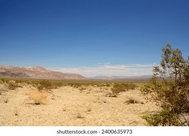 Traveling the Mojave Desert, California, USA - Powered by Shutterstock