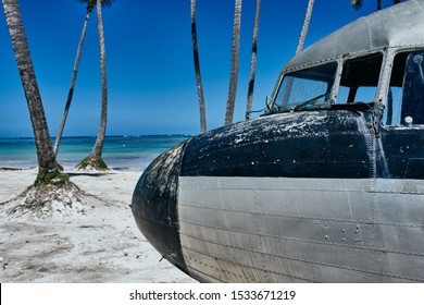  Traveling plane wreck sand island palm exotic                              