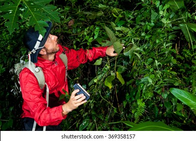 Traveller Search And Explore Through Tropical Rain Forest - Fieldwork
Biology Scientist Searching For New Species - Fieldwork In The Jungle.