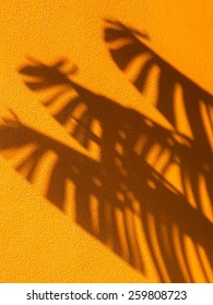 Traveller's Palm Tree Leaves Cast Shadow On An Orange Textured Concrete Wall.