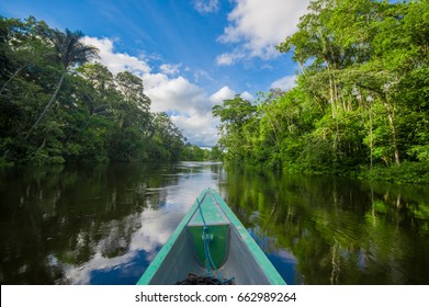 Travelling by boat into the depth of Amazon Jungles in Cuyabeno National Park, Ecuador - Shutterstock ID 662989264