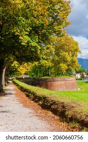 Travelling in Tuscany. The Walls of Lucca public park with St Salvador Bulwark and autumnal leaves - Shutterstock ID 2060660756