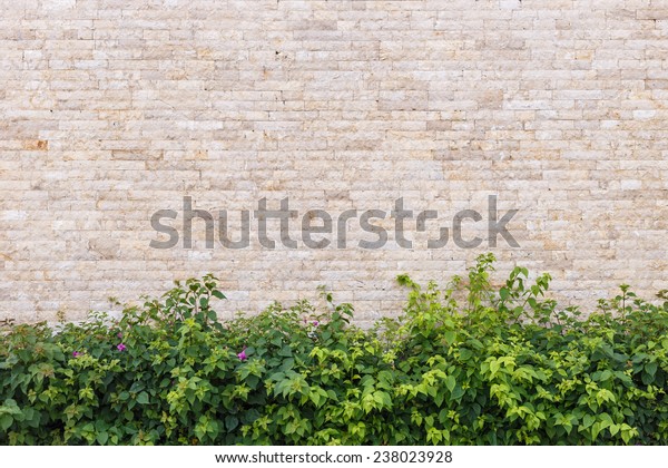 Travertine Stone Wall Decorative Garden Stock Photo Edit Now