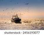 trawler in the Mediterranean Sea returning from fishing with seagulls following it in front of the port of Port Camargue in France