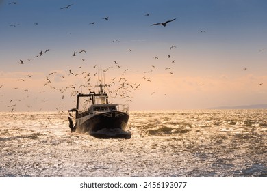 trawler in the Mediterranean Sea returning from fishing with seagulls following it in front of the port of Port Camargue in France - Powered by Shutterstock