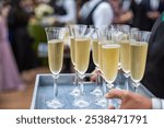 A tray of champagne flutes filled with bubbly, ready to be served at an outdoor celebration. The elegant glassware adds a touch of sophistication to the festive gathering