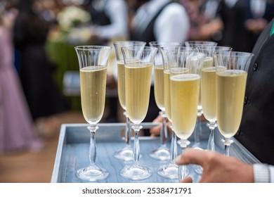 A tray of champagne flutes filled with bubbly, ready to be served at an outdoor celebration. The elegant glassware adds a touch of sophistication to the festive gathering - Powered by Shutterstock