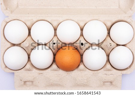 Tray with eggs, one brown egg, close up, top view