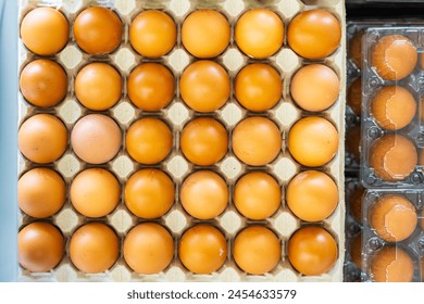 A tray of eggs is shown in a close up. The eggs are all the same size and color, and they are arranged in a grid pattern. The eggs are in a plastic container, which is placed on a table - Powered by Shutterstock