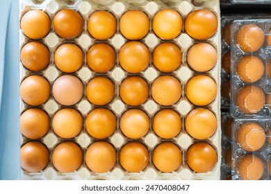 A tray of eggs is shown in a close up. The eggs are all the same size and color, and they are arranged in a grid pattern. The eggs are in a plastic container, which is placed on a table - Powered by Shutterstock