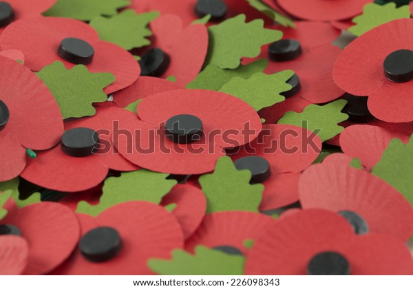 A Tray of Paper\
Poppies for Remembrance Day