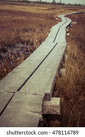 Treacherous Path Leading Forward. Narrow And Slippery Wooden Causeway Is Surrounded By Aapa Bog With Brownish Warm Colors.