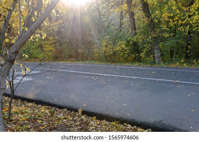 Treadmill. Bike Lane. Autumn Park. Health Track. The Territory For Sports. Trees With Yellow Foliage In The Sun. Fall Foliage In The Fall.