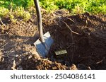 Treasure chest with Shovel. Dig treasure. Bury money. Digging Treasure box in soil use shovel. Digs EURO coins note from ground. Treasure hunter